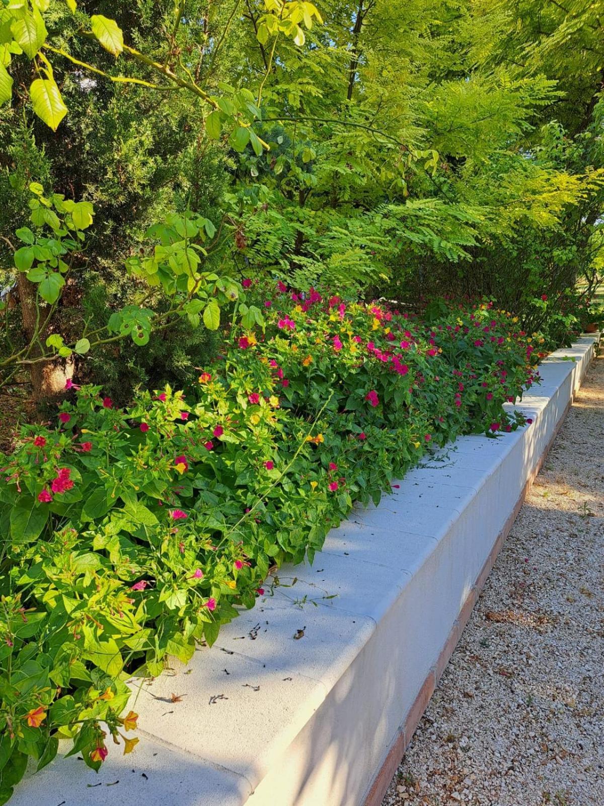 La Casa Nel Verde Larino Kültér fotó